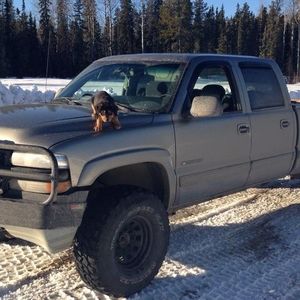 Meet your Posher, Roy